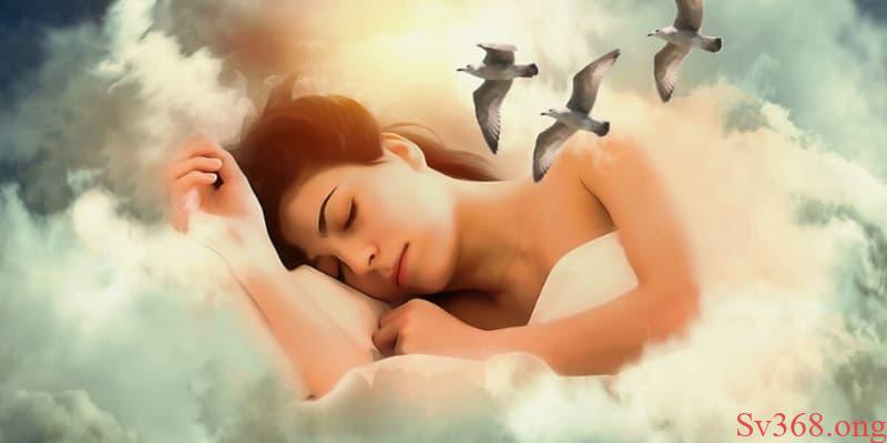 nằm mơ thấy nhiều con vật Mơ thấy động vật thì nên lựa chọn các con số nào?