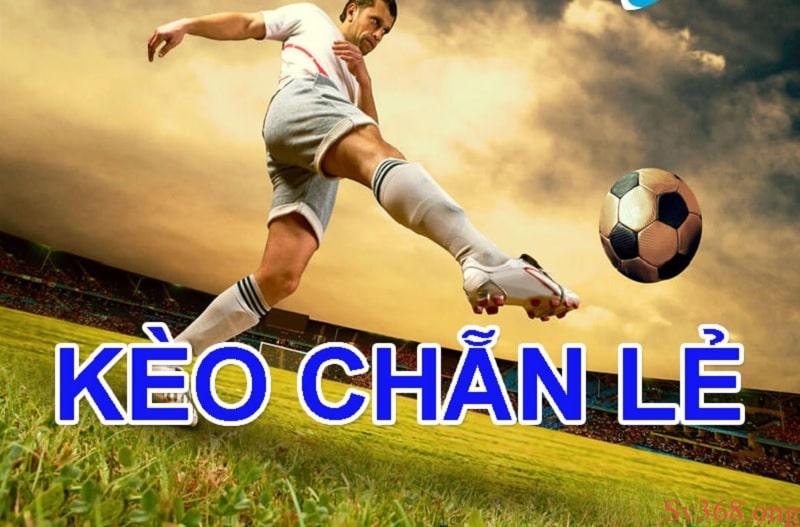 Kèo Chẵn Lẻ: Tìm Hiểu Cà Hướng Dẫn Chơi Kèo Cá Cược Bóng Đá 8 Kèo chẵn lẻ