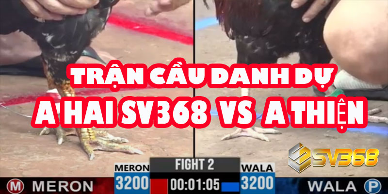 A Hai SV368 vs A Thiện | Trận Cầu Danh Dự Kèo 30 Triệu 1 A Hai SV368 vs A Thiện | Trận Cầu Danh Dự Kèo 30 Triệu