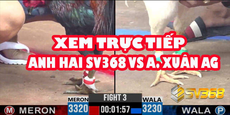Xem trực tiếp: Anh Hai Sv368 gặp Anh Xuân An Giang ngày 7/7/2025 9 Xem trực tiếp: Anh Hai Sv368 gặp Anh Xuân An Giang ngày 7/7/2025
